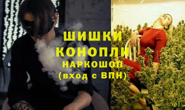ПСИЛОЦИБИНОВЫЕ ГРИБЫ Наволоки