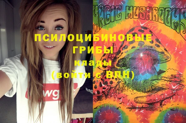 ПСИЛОЦИБИНОВЫЕ ГРИБЫ Наволоки