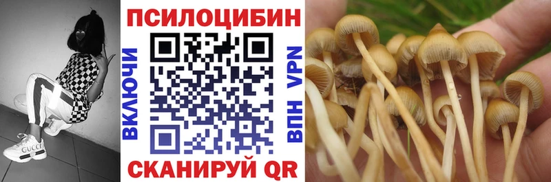 купить  цена  Нарткала  Галлюциногенные грибы Psilocybe 
